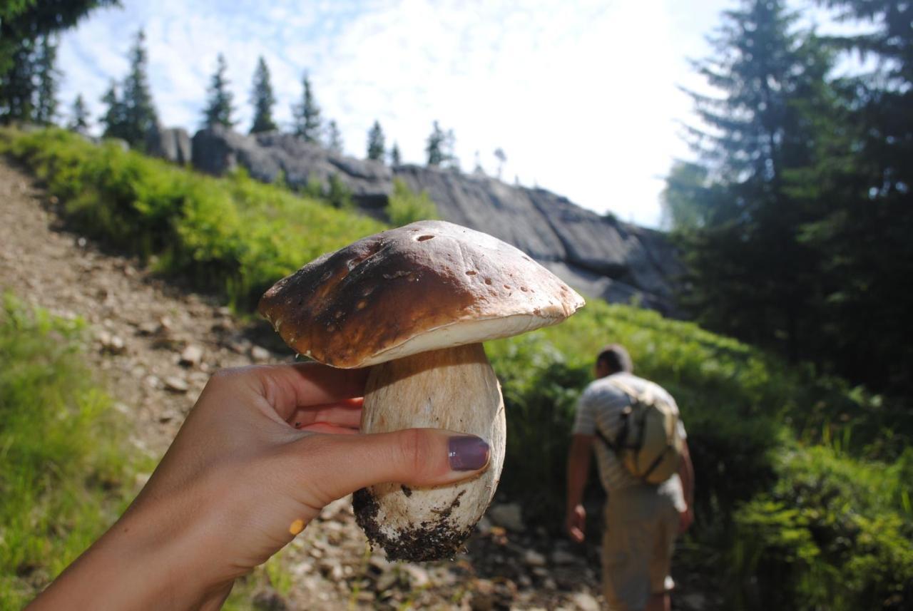 барва Lodge Beloberezka