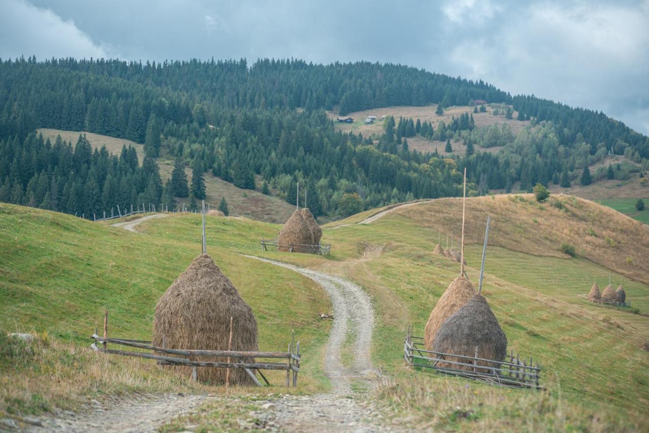 Lodge барва *